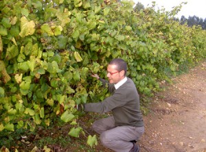 En la imagen, Emilio Rodríguez Canas, director técnico de Bodegas Terras Gauda. Foto: Bodegas Terras Gauda.